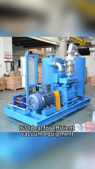 Sk 2sk 2BV China Electric Pumps Liquid Water Ring Vacuum Pump for Milking Machine or Plastic Extrusion Line with Siemens Motor